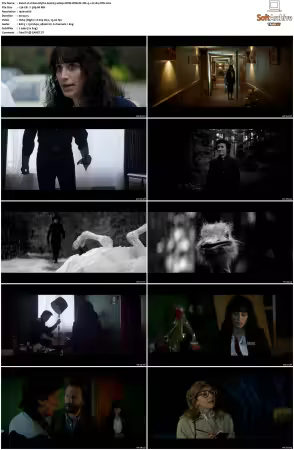 Urban Myths S01 S04 1080p NOW WEB-DL DD+5.1 H264-NTb