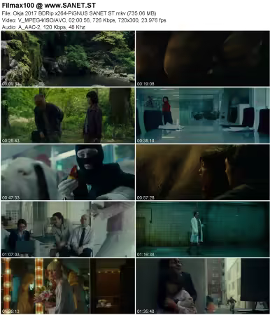 Okja 2017 BDRip x264-PiGNUS