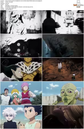 Hunter x Hunter 2011 S01-S06 1080p NF WEB-DL AAC2.0 H264-ZigZag