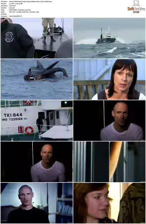 Whale Wars S03 1080p WEB-DL AAC2.0 AVC-TrollHD