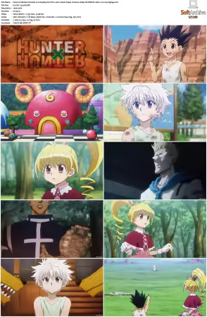 Hunter x Hunter 2011 S01-S06 1080p NF WEB-DL AAC2.0 H264-ZigZag