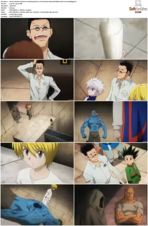 Hunter x Hunter 2011 S01-S06 1080p NF WEB-DL AAC2.0 H264-ZigZag