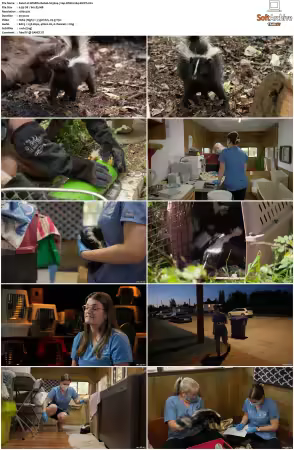 Wildlife Rehab S03 720p WEB H264-SHIIIT