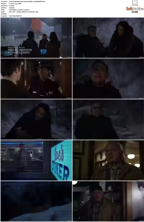 Resident Alien S01 S04 BDRip x264-BORDURE