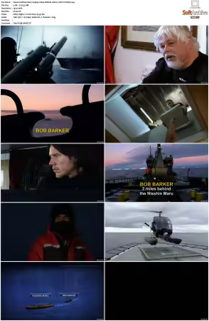 Whale Wars S03 1080p WEB-DL AAC2.0 AVC-TrollHD