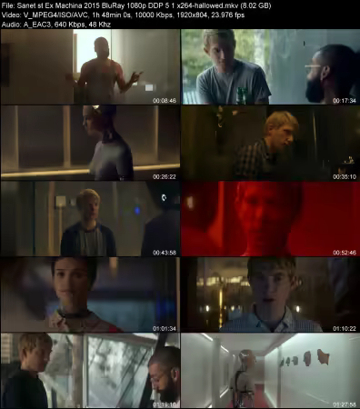 Ex Machina 2015 BluRay 1080p DDP 5.1 x264-hallowed