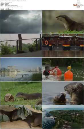 Uptown Otters S01 1080p WEB H264-CBFM