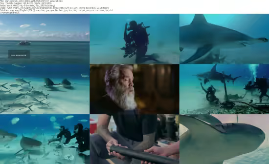 Man vs. Shark 2019 1080p WEB H264-SHIIIT