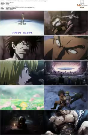 Hunter x Hunter 2011 S01-S06 1080p NF WEB-DL AAC2.0 H264-ZigZag