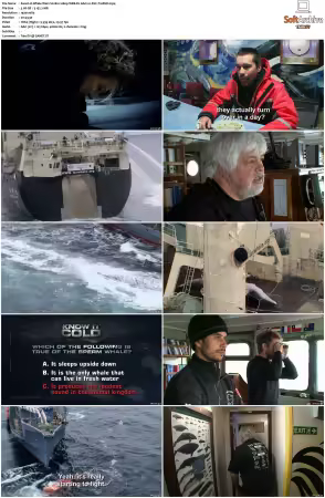 Whale Wars S02 1080p WEB-DL AAC2.0 AVC-TrollHD