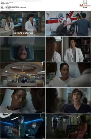 The Good Doctor S01-S07 720p WEBRip 2CH x265 HEVC-PSA