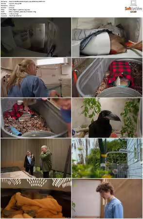 Wildlife Rehab S03 720p WEB H264-SHIIIT