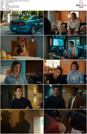 Hudson and Rex S08 720p HEVC x265-MeGusta