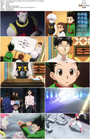 Hunter x Hunter 2011 S01-S06 1080p NF WEB-DL AAC2.0 H264-ZigZag