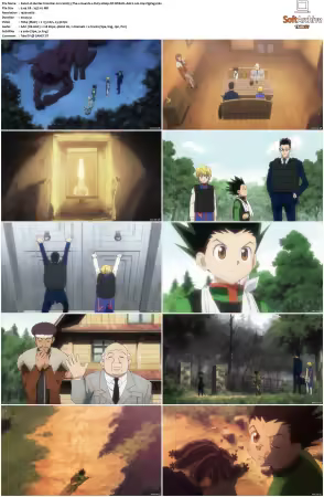 Hunter x Hunter 2011 S01-S06 1080p NF WEB-DL AAC2.0 H264-ZigZag