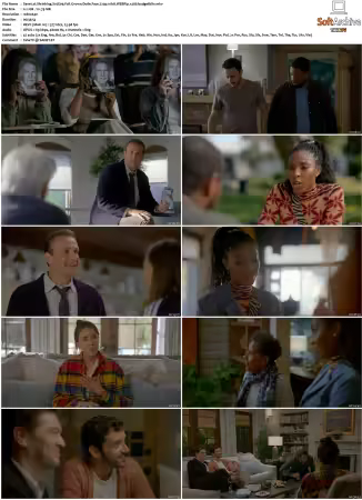 Shrinking S01 S03 720p 10bit WEBRip x265-budgetbits