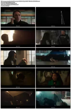 Daredevil Born Again S02E04 1080p DSNP WEB-DL H 265-NGP