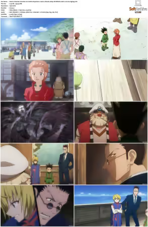 Hunter x Hunter 2011 S01-S06 1080p NF WEB-DL AAC2.0 H264-ZigZag