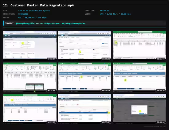SAP S/4HANA Data Migration: Migration Cockpit - FICO, MM, SD