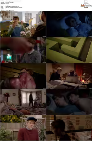 Please Like Me S01 S04 DVDRip XviD x264-Scene