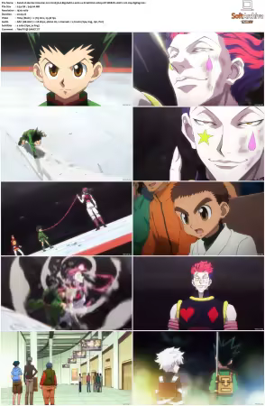 Hunter x Hunter 2011 S01-S06 1080p NF WEB-DL AAC2.0 H264-ZigZag