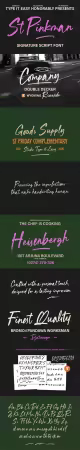 ST Pinkman - Handwritten Signature Script Font