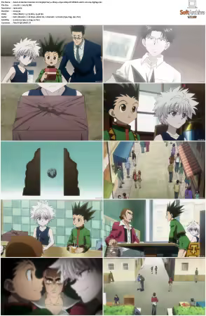Hunter x Hunter 2011 S01-S06 1080p NF WEB-DL AAC2.0 H264-ZigZag