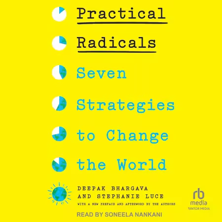 Practical Radicals: Seven Strategies to Change the World[Audiobook]