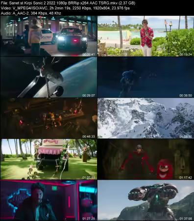 Kirpi Sonic 2 2022 1080p BRRip x264 AAC TSRG
