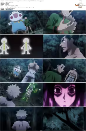 Hunter x Hunter 2011 S01-S06 1080p NF WEB-DL AAC2.0 H264-ZigZag