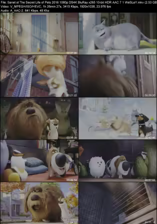 The Secret Life of Pets 2016 1080p DS4K BluRay x265 10-bit HDR AAC 7.1 WeSLeY