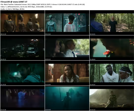 Black Panther Wakanda Forever 2022 1080p DSNP WEB DL DDP5.1 Atmos H264 N1H4L
