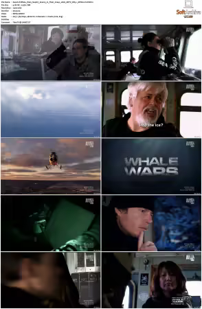 Whale Wars S04 1080i HDTV DD5.1 MPEG2-TrollHD