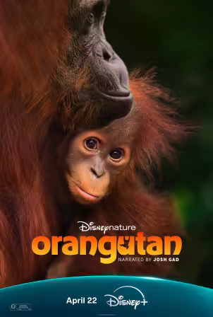 Orangutan 2026 720p DSNP WEB-DL DD5.1 Atmos H264-playWEB