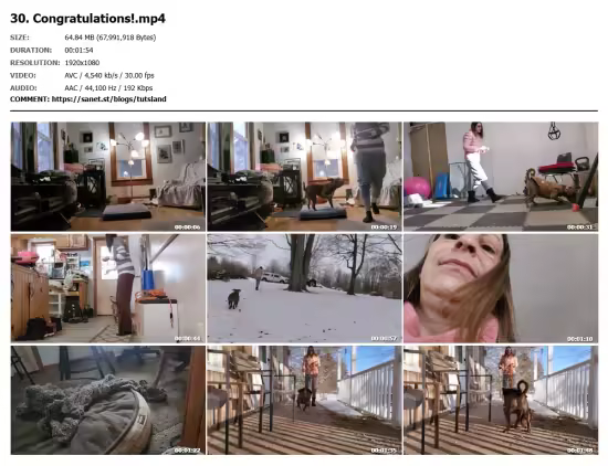 4-week Challenge: Reliable Recall (Dog Training)