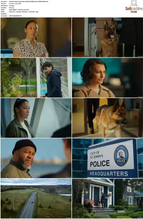 Hudson And Rex S07 DVDRip x264-TABULARiA