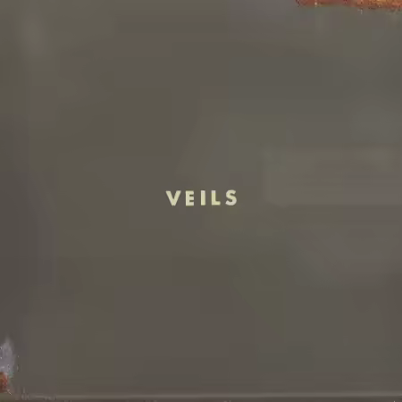 Vanessa Carlton - Veils (2026)