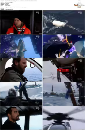 Whale Wars S04 1080i HDTV DD5.1 MPEG2-TrollHD