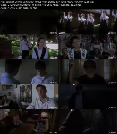 Donnie Darko 2001 1080p 10bit BluRay 6CH x265 HEVC-PSA