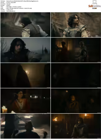 House of David S02 MULTI 1080p WEB H264-HiggsBoson