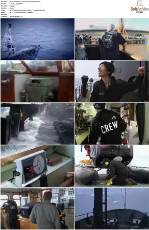 Whale Wars S01 S02 DVDRip XviD-WiDE