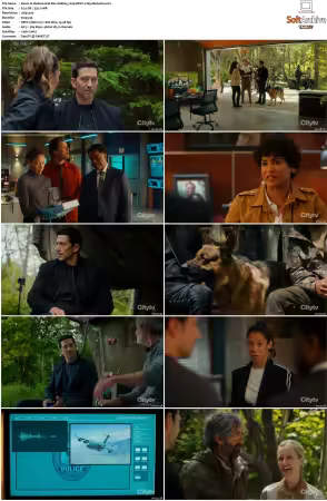 Hudson and Rex S08 720p HEVC x265-MeGusta