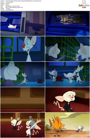 Animaniacs 2020 S01 S03 1080p HULU WEBRip DDP5 1 x265-EDGE2020