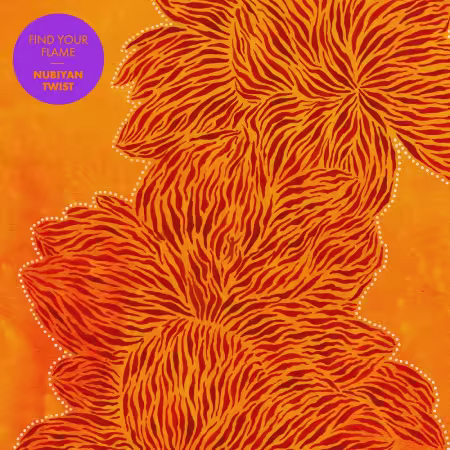 Nubiyan Twist - Find Your Flame (2024)[CD-Rip]