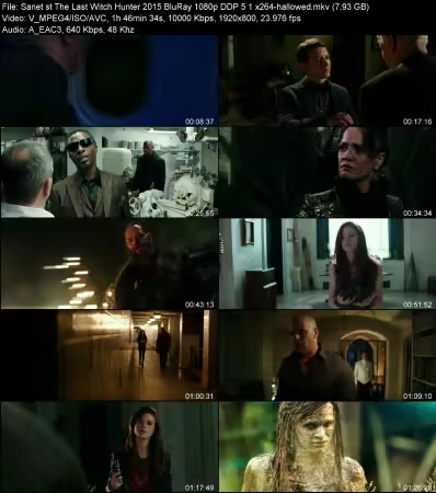 The Last Witch Hunter 2015 BluRay 1080p DDP 5.1 x264-hallowed