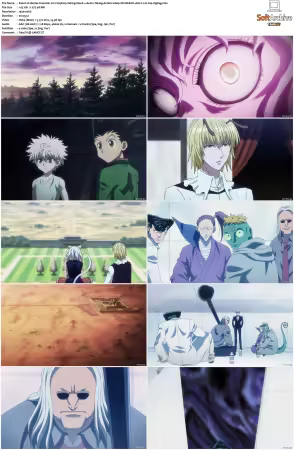 Hunter x Hunter 2011 S01-S06 1080p NF WEB-DL AAC2.0 H264-ZigZag