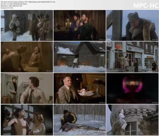 Ilsa the Tigress of Siberia 1977 1080p BluRay x264-GAZER
