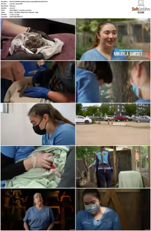 Wildlife Rehab S03 720p WEB H264-SHIIIT