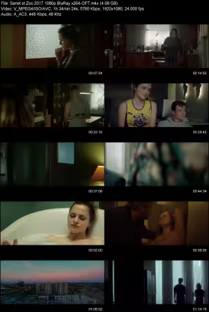 Zoo 2017 1080p BluRay x264-OFT