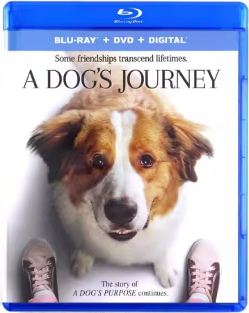 A Dogs Journey 2019 1080p 10bit BluRay 8CH x265 HEVC-PSA